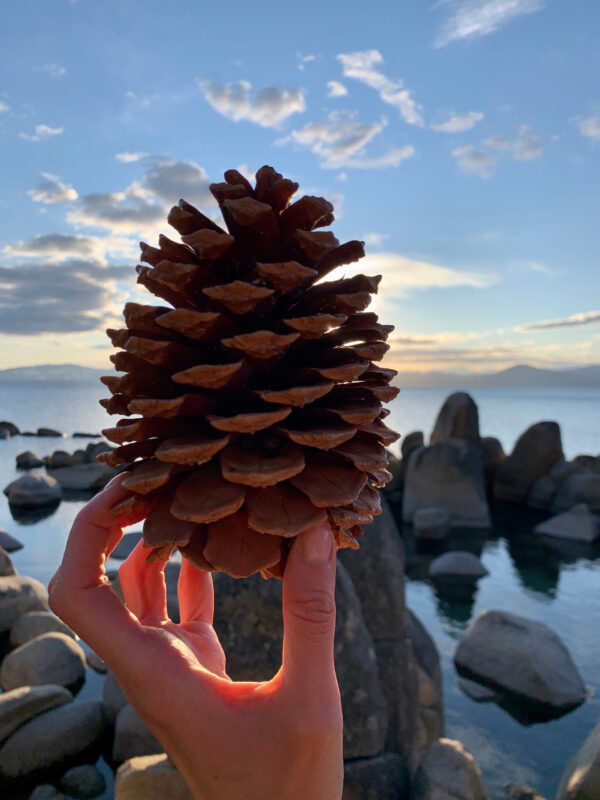 Lake Tahoe, Napa, San Francisco, Big Sur, LA&hellip;