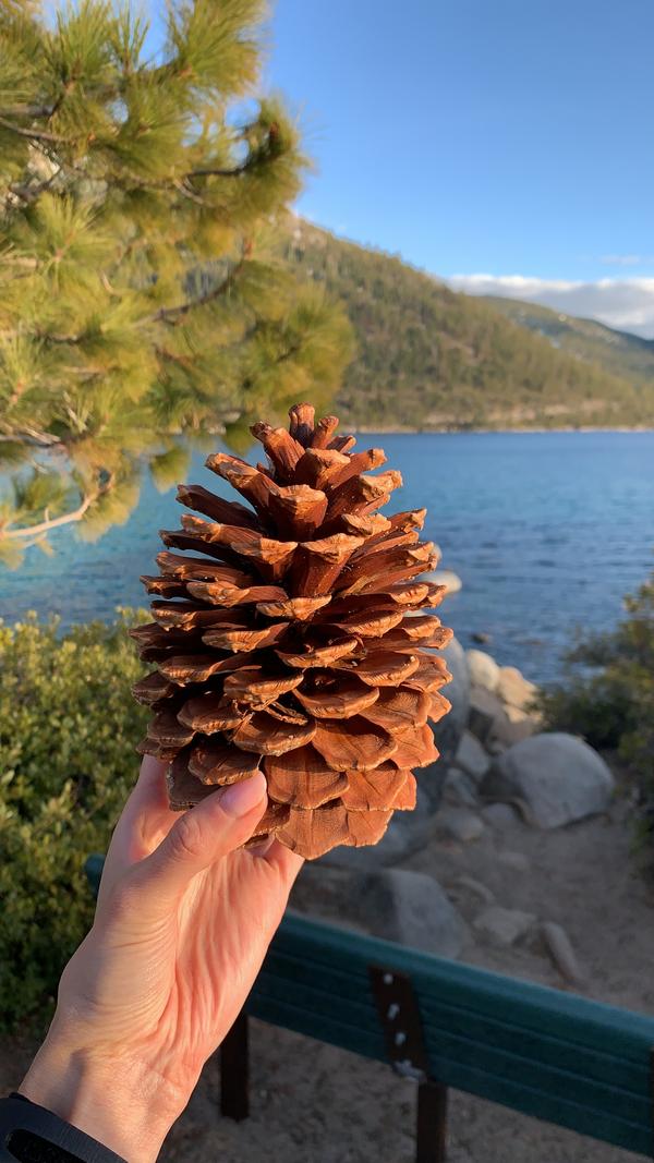 Lake Tahoe, Napa, San Francisco, Big Sur, LA&hellip;