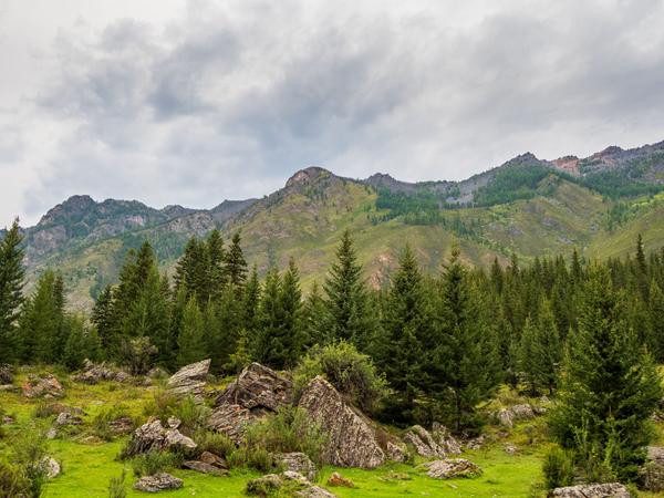 Алтай. Водителям Чуйского тракта.