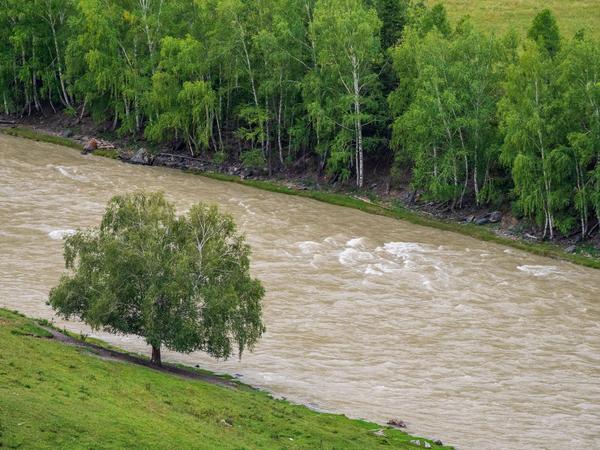 Алтай. Водителям Чуйского тракта.